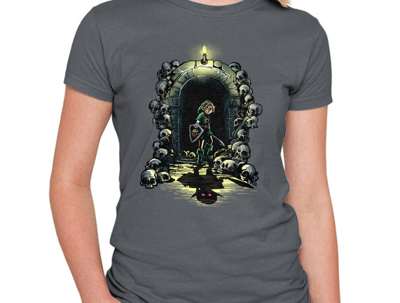 Link In The Dungeons