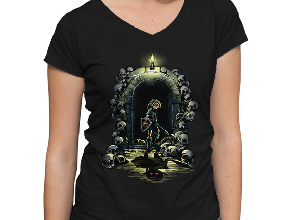 Link In The Dungeons