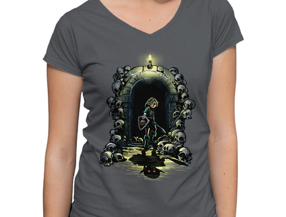 Link In The Dungeons