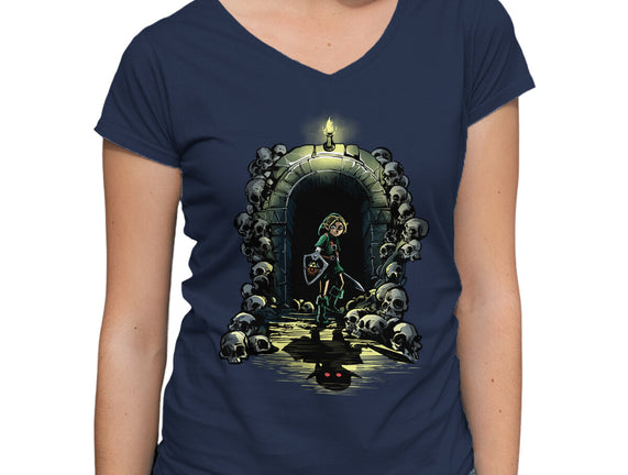 Link In The Dungeons