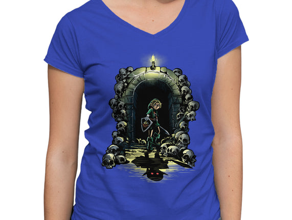 Link In The Dungeons