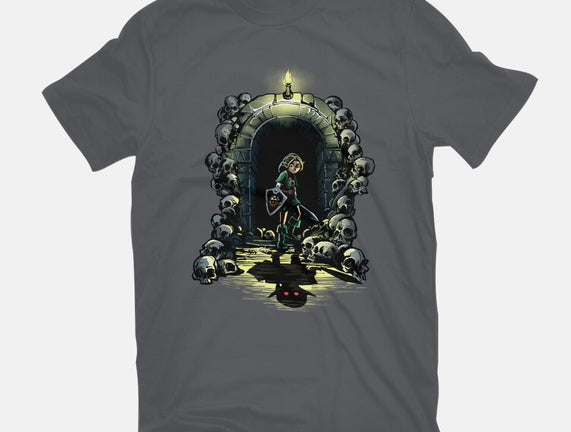 Link In The Dungeons