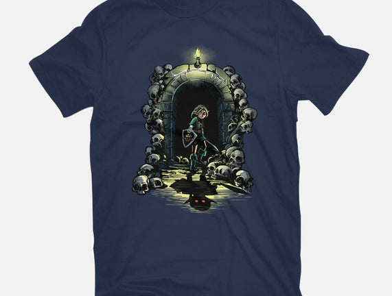 Link In The Dungeons