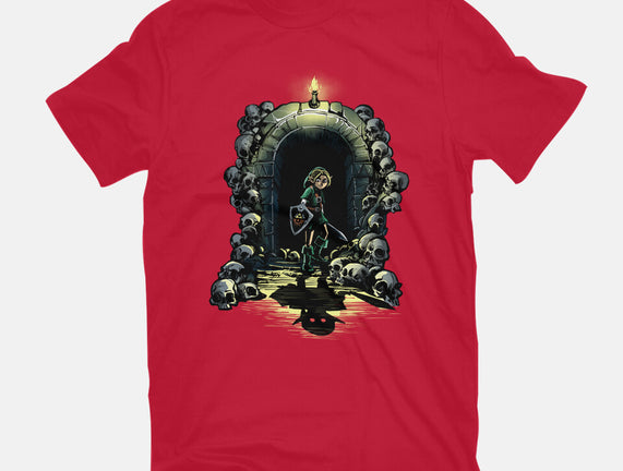 Link In The Dungeons