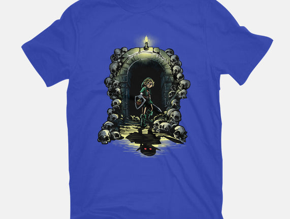 Link In The Dungeons