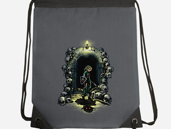 Link In The Dungeons