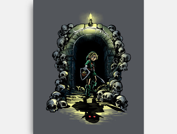 Link In The Dungeons