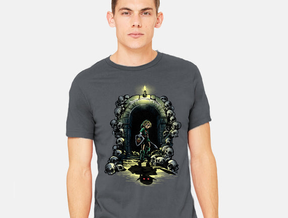 Link In The Dungeons