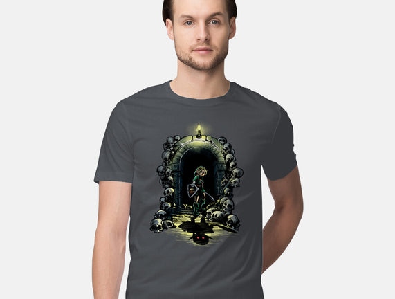 Link In The Dungeons