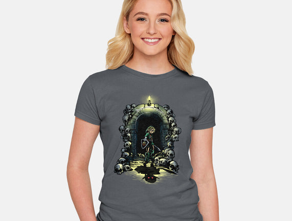 Link In The Dungeons