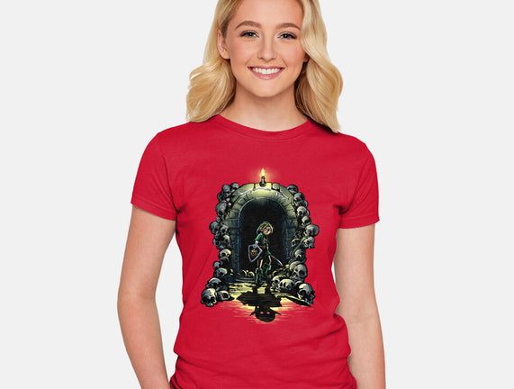 Link In The Dungeons