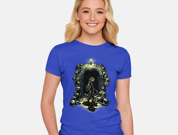 Link In The Dungeons