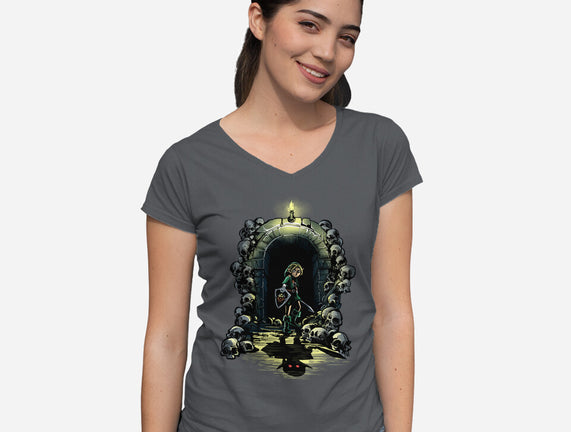 Link In The Dungeons