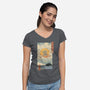 Pirates Ukiyo-e-Womens-V-Neck-Tee-vp021