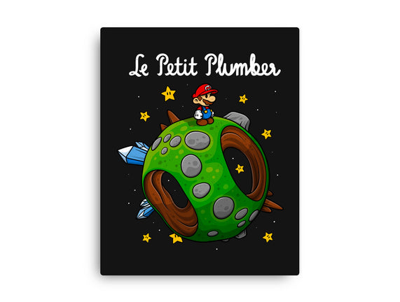 Petit Plumber