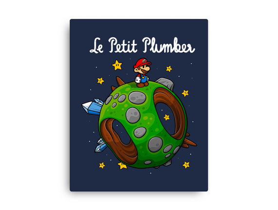 Petit Plumber
