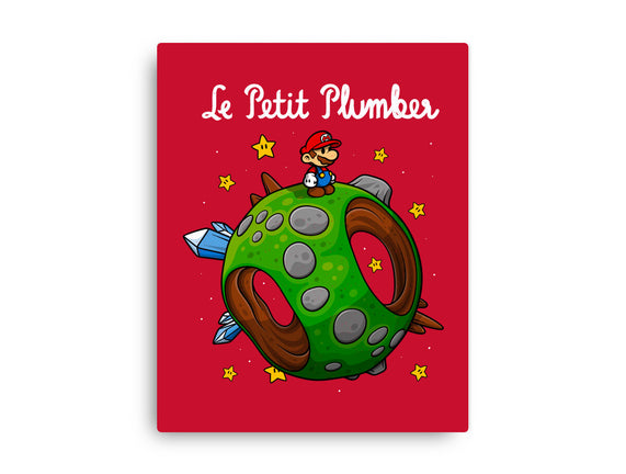 Petit Plumber