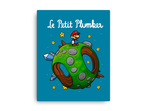 Petit Plumber