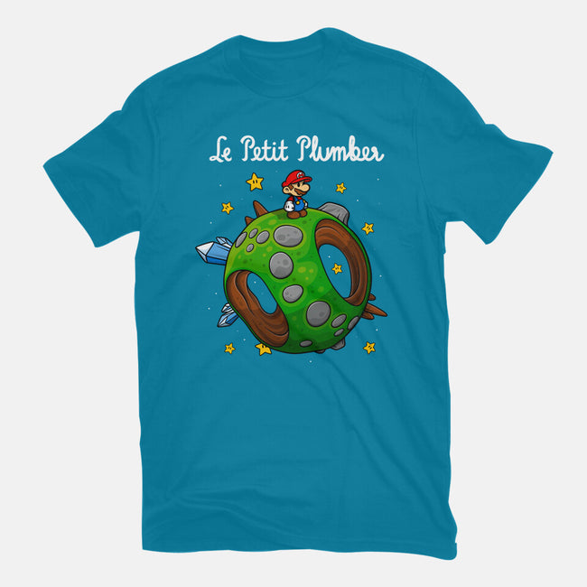 Petit Plumber-Womens-Fitted-Tee-drbutler