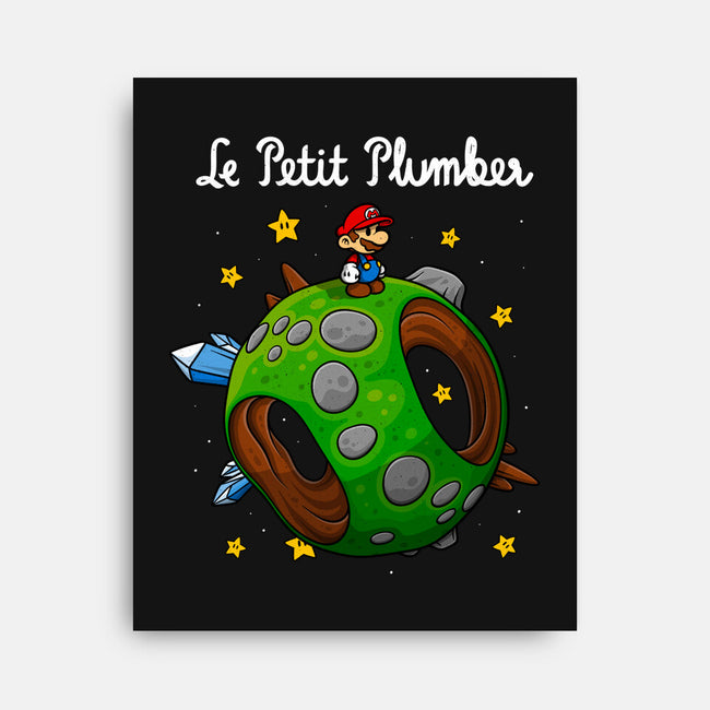 Petit Plumber-None-Stretched-Canvas-drbutler