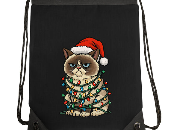 Jolly Christmas Cat
