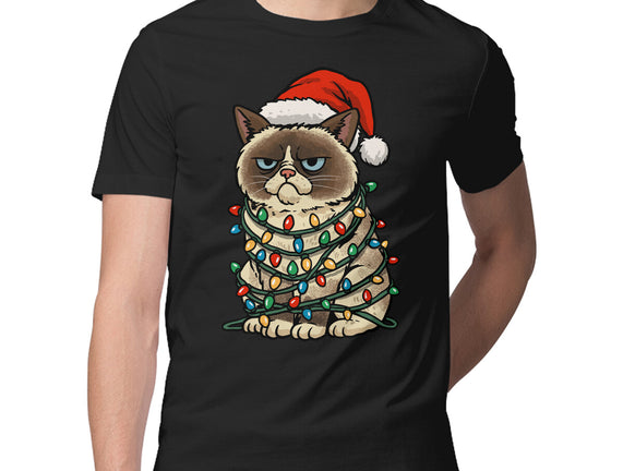 Jolly Christmas Cat