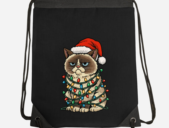 Jolly Christmas Cat