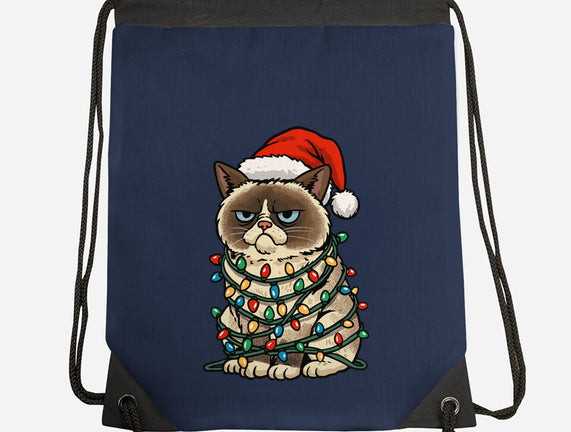Jolly Christmas Cat