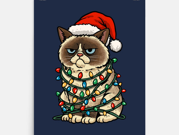 Jolly Christmas Cat