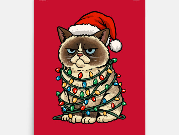 Jolly Christmas Cat