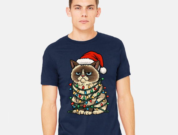 Jolly Christmas Cat