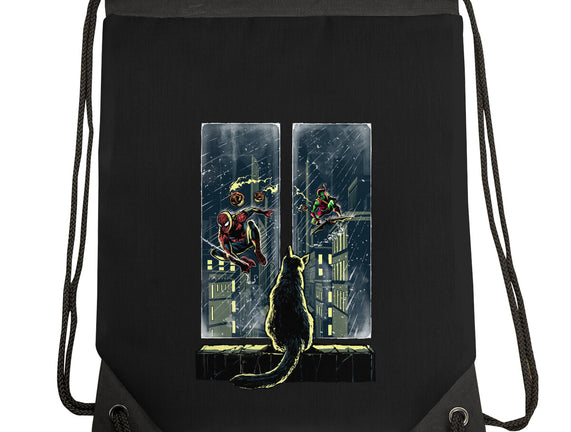 Curious Cat Superheroes