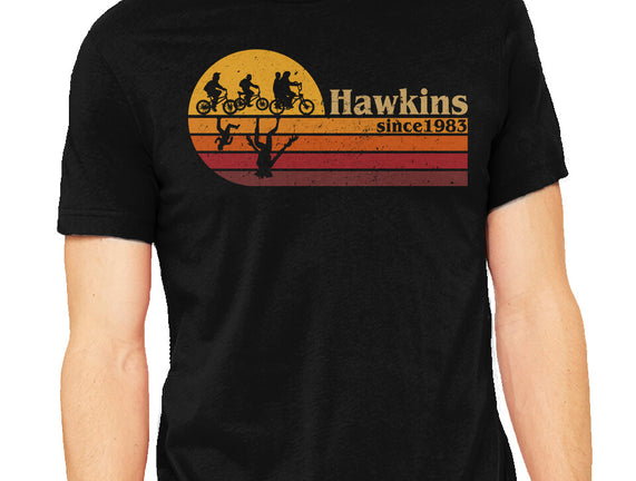 Vintage Hawkins