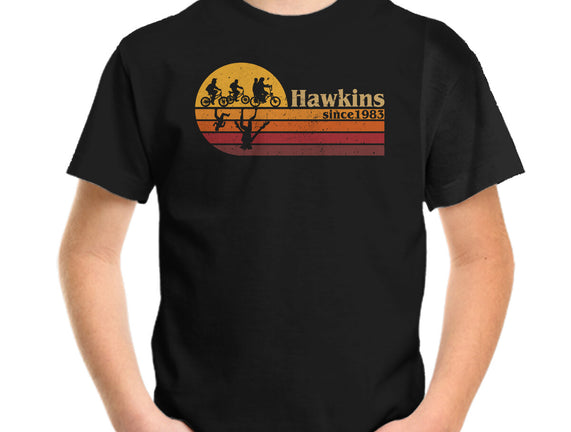 Vintage Hawkins