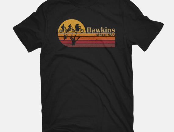 Vintage Hawkins