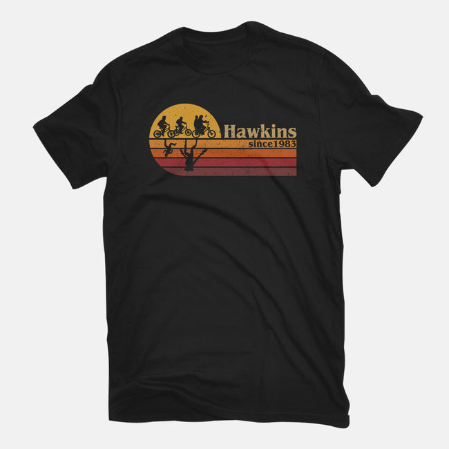 Vintage Hawkins-Mens-Heavyweight-Tee-DrMonekers
