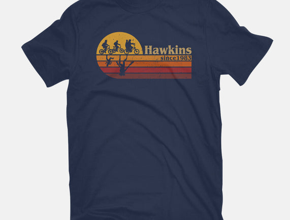 Vintage Hawkins