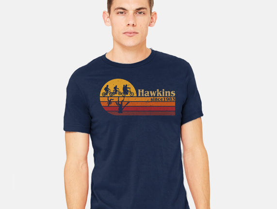 Vintage Hawkins