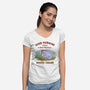 A Doubtful Good Morning-Womens-V-Neck-Tee-kg07