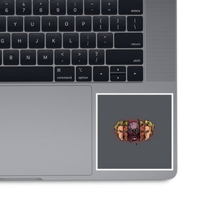 Stranger Transformation