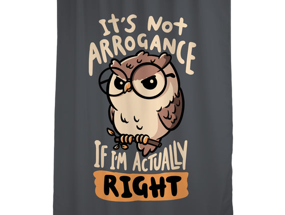 Actually Right Owl