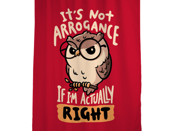 Actually Right Owl