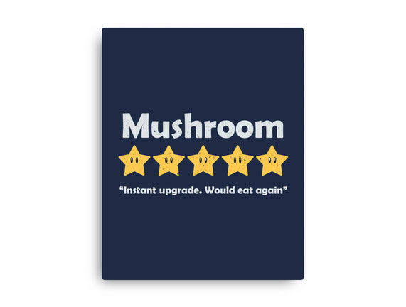 Mushroom Review