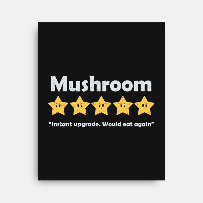 Mushroom Review-None-Stretched-Canvas-NMdesign