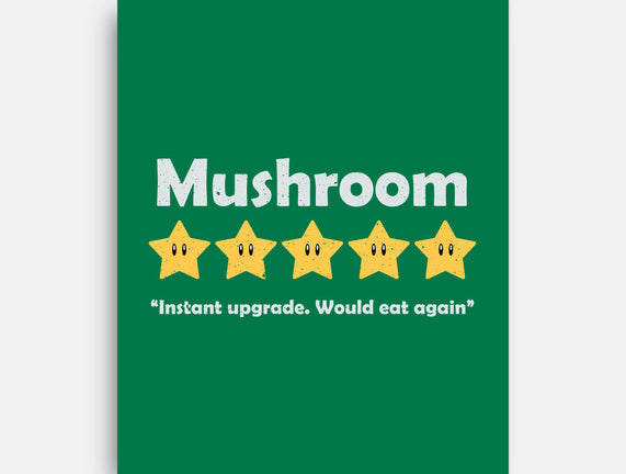 Mushroom Review
