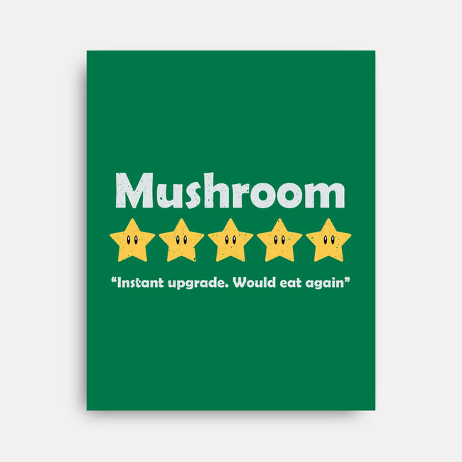 Mushroom Review-None-Stretched-Canvas-NMdesign