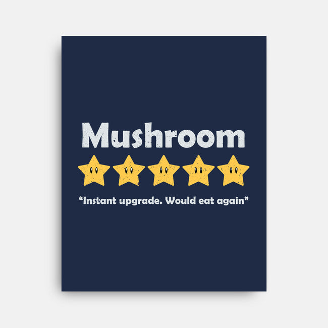 Mushroom Review-None-Stretched-Canvas-NMdesign