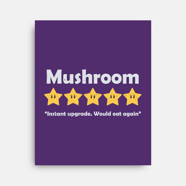 Mushroom Review-None-Stretched-Canvas-NMdesign