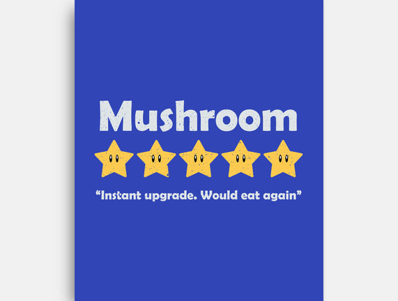 Mushroom Review