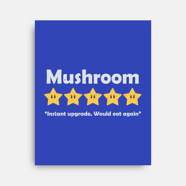 Mushroom Review-None-Stretched-Canvas-NMdesign